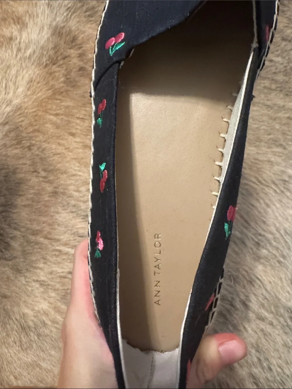 Ann Taylor new without